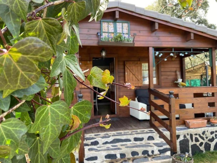 Desconexion Y Paz, Cabana En La Sierra Albalate De Zorita Buitenkant foto